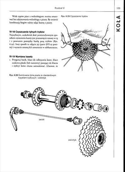 Sztuka serwisowania roweru górskiego - Sztuka serwisu roweru górskiego - Zinn_page112_image1.tif